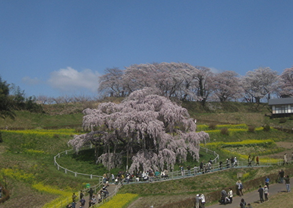 001-7.jpg