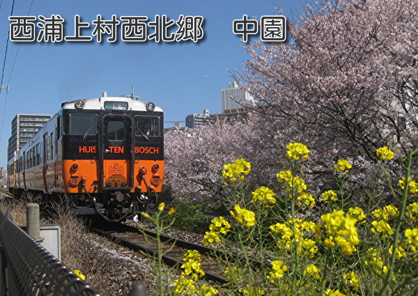 010-0.jpg