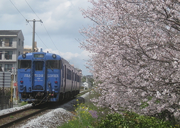 010-1.jpg