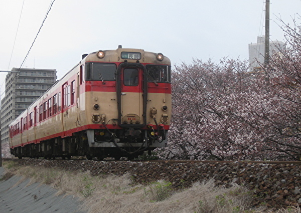 010-3.jpg