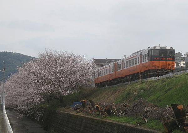 010-4.jpg