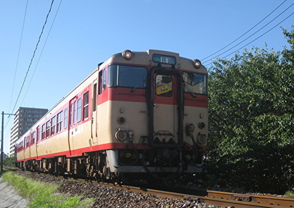 010-5.jpg