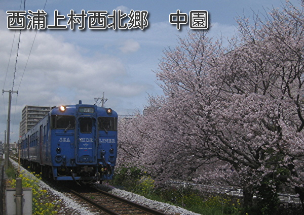 010.jpg