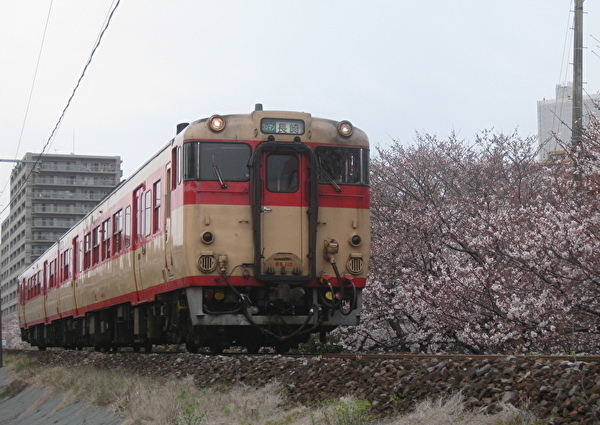 09.jpg