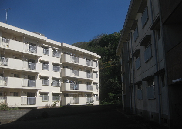 1050-3.jpg