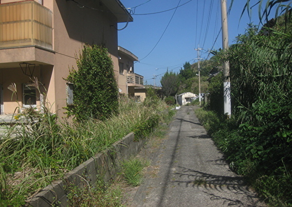 1050-4.jpg