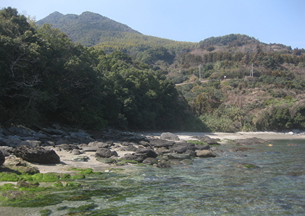 1089-2.jpg