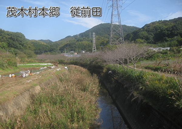 1095.jpg