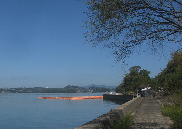 1203-2.jpg
