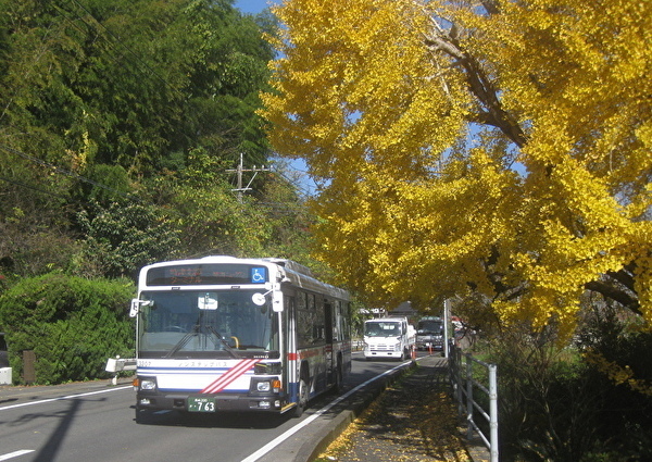 185.jpg
