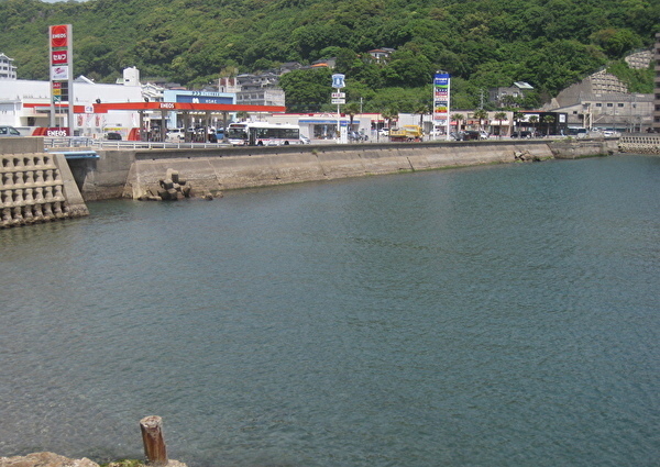 223.jpg