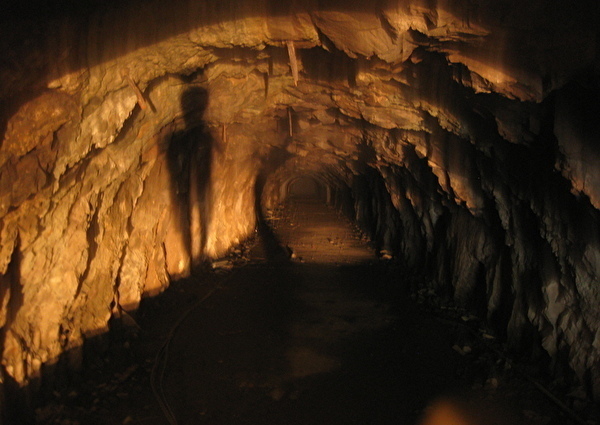 55.jpg