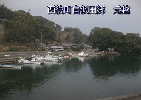 98.jpg